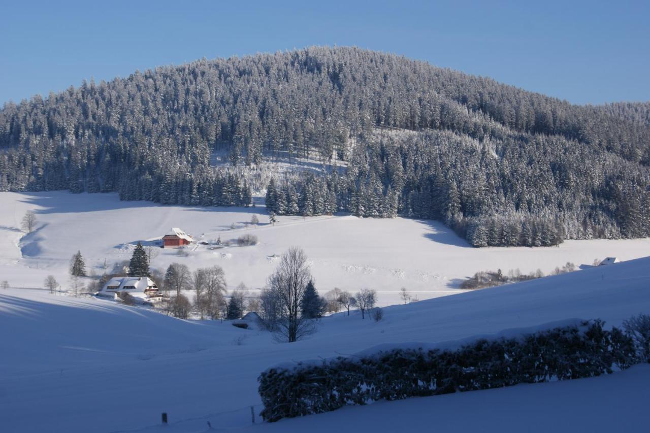 Zur Traube Schwarzwaldhotel & Restaurant Am Titisee Sankt Märgen Exteriör bild