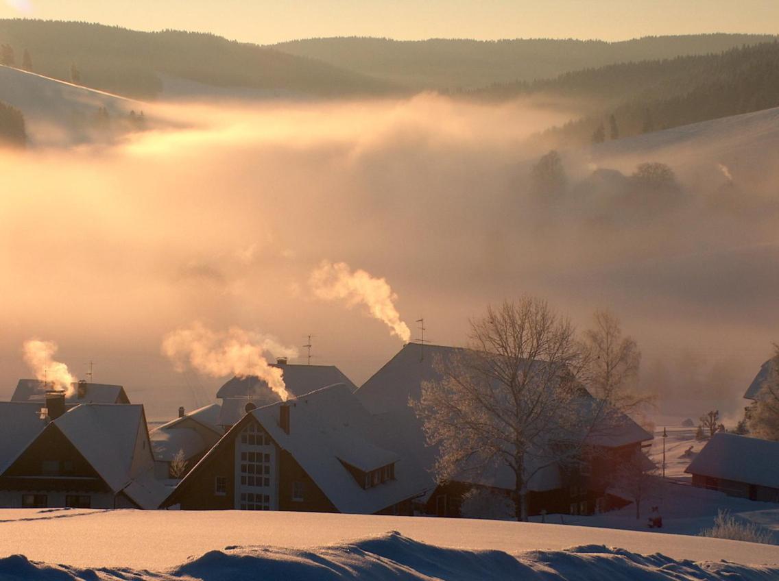 Zur Traube Schwarzwaldhotel & Restaurant Am Titisee Sankt Märgen Exteriör bild