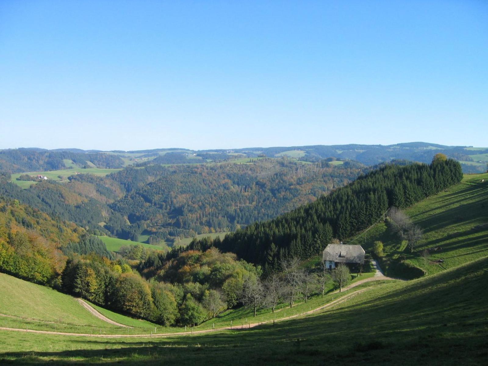 Zur Traube Schwarzwaldhotel & Restaurant Am Titisee Sankt Märgen Exteriör bild