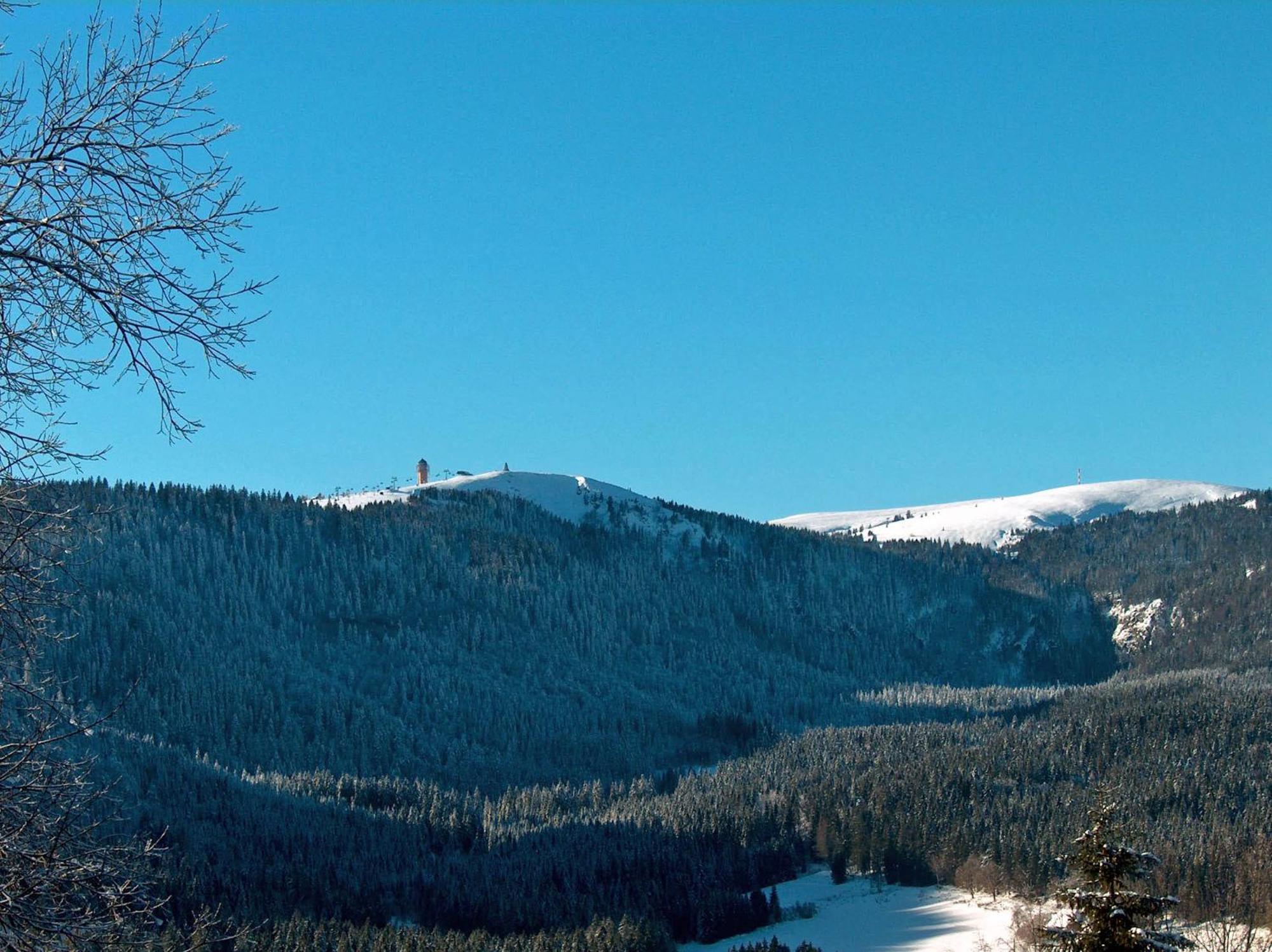 Zur Traube Schwarzwaldhotel & Restaurant Am Titisee Sankt Märgen Exteriör bild